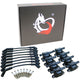 Ignition Kit - Ceramic Plug Wires, Coils, Spark Plugs