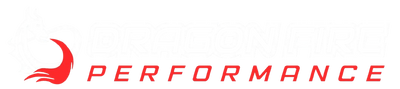Dragon Fire Performance