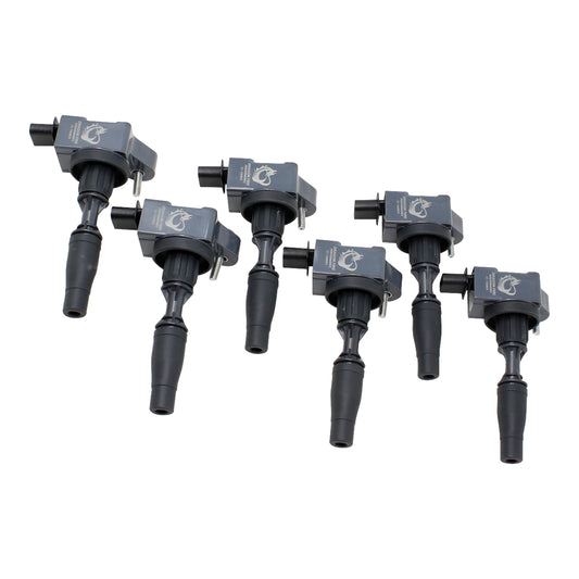 Coil Pack Set, 6pcs, Direct Fit, BLACK