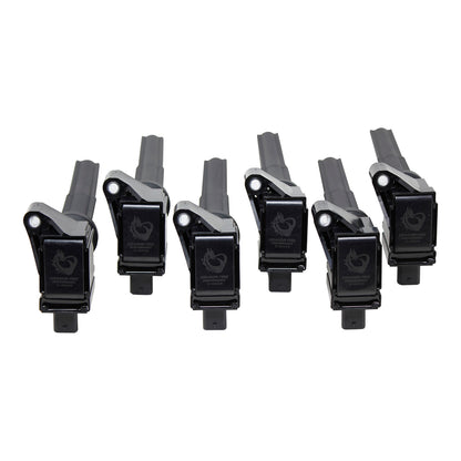 Coil Pack Set, 6pcs, Direct Fit, BLACK