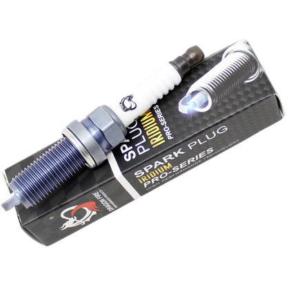 DFSP1008 Spark Plug, 1pc, Pre-Gapped