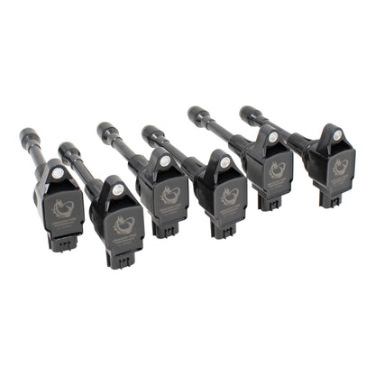 Coil Pack Set, 6pcs, Direct Fit, BLACK