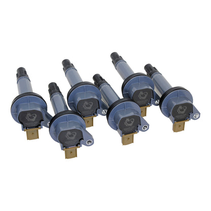 Coil Pack Set, 6pcs, Direct Fit, BLACK