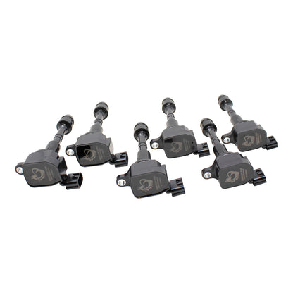 Coil Pack Set, 6pcs, Direct Fit, BLACK