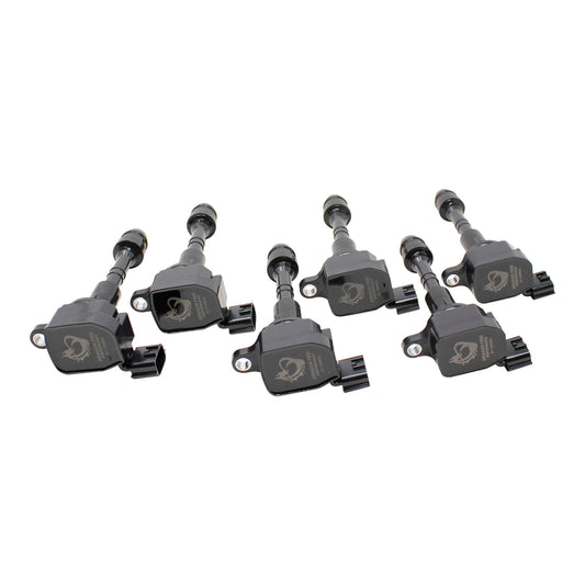 Coil Pack Set, 6pcs, Direct Fit, BLACK