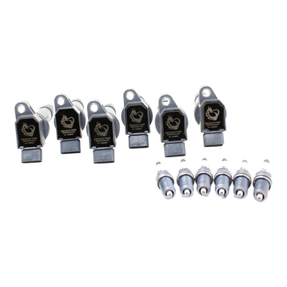 Ignition Kit - Coils, Spark Plugs