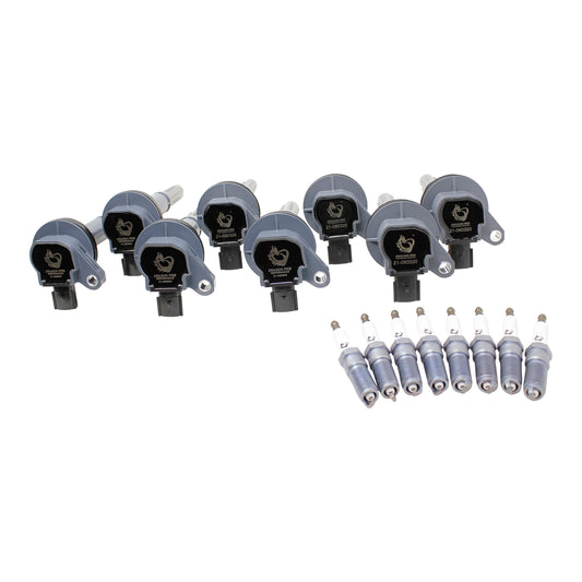 Ignition Kit - Coils, Spark Plugs