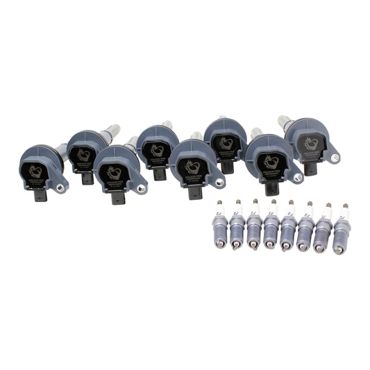Ignition Kit - Coils, Spark Plugs