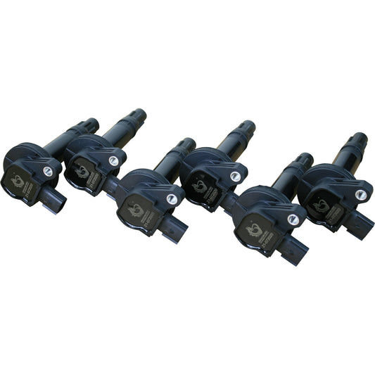 Coil Pack Set, 6pcs, Direct Fit, BLACK