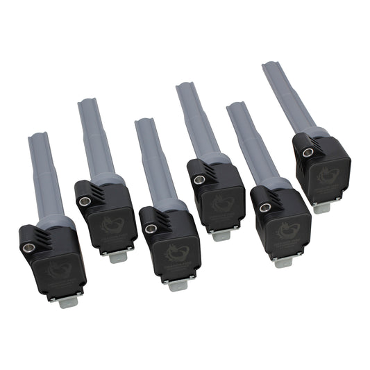 Coil Pack Set, 6pcs, Direct Fit, BLACK