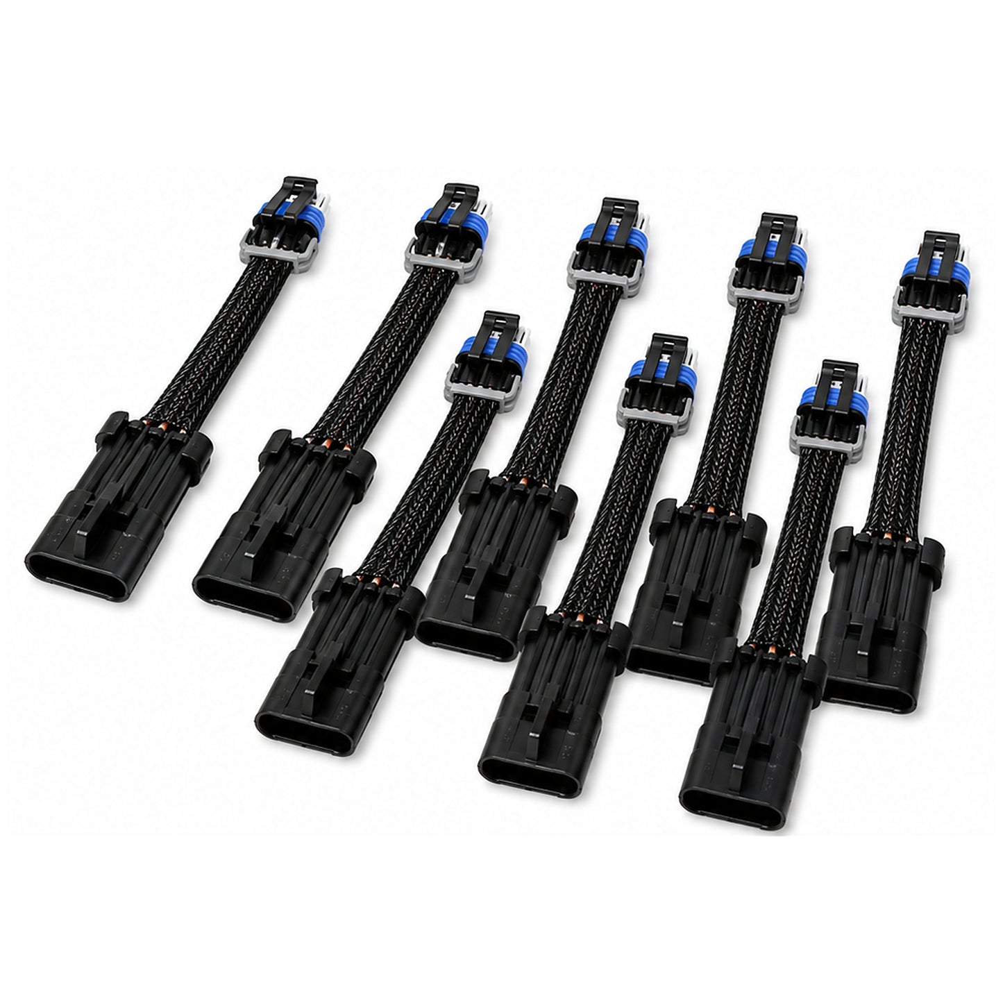 WH1111x8 coil adapter harness close-up