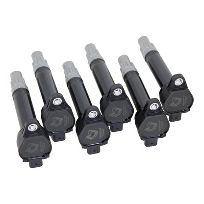 Coil Pack Set, 6pcs, Direct Fit, BLACK