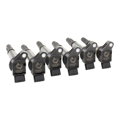 Coil Pack Set, 6pcs, Direct Fit, BLACK