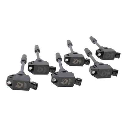 Coil Pack Set, 6pcs, Direct Fit, BLACK