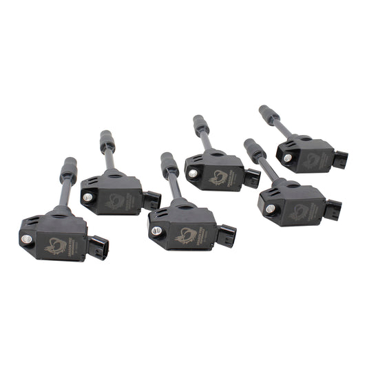 Coil Pack Set, 6pcs, Direct Fit, BLACK