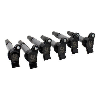 Coil Pack Set, 6pcs, Direct Fit, BLACK