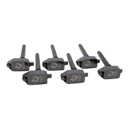 Coil Pack Set, 6pcs, Direct Fit, BLACK
