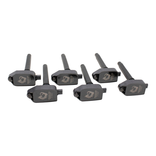 Coil Pack Set, 6pcs, Direct Fit, BLACK
