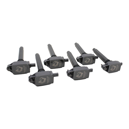 Coil Pack Set, 6pcs, Direct Fit, BLACK