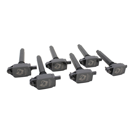 Coil Pack Set, 6pcs, Direct Fit, BLACK