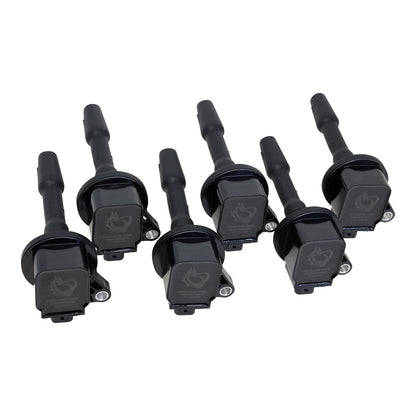 Coil Pack Set, 6pcs, Direct Fit, BLACK