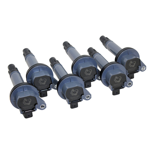 Coil Pack Set, 6pcs, Direct Fit, BLACK