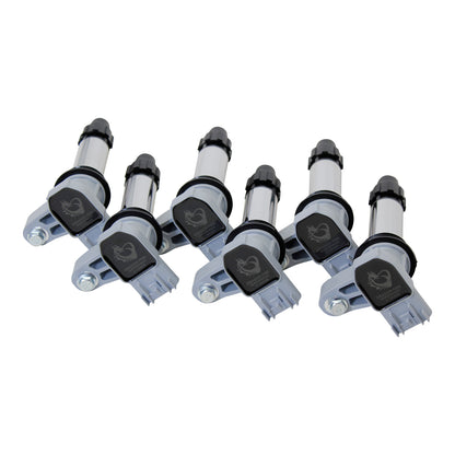 Coil Pack Set, 6pcs, Direct Fit, BLACK