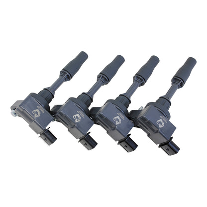 Coil Pack Set, 4pcs, Direct Fit, BLACK