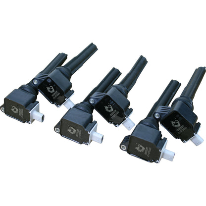 Coil Pack Set, 6pcs, Direct Fit, BLACK
