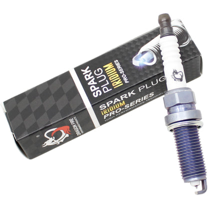 DFSP1008 Spark Plug, 1pc, Pre-Gapped