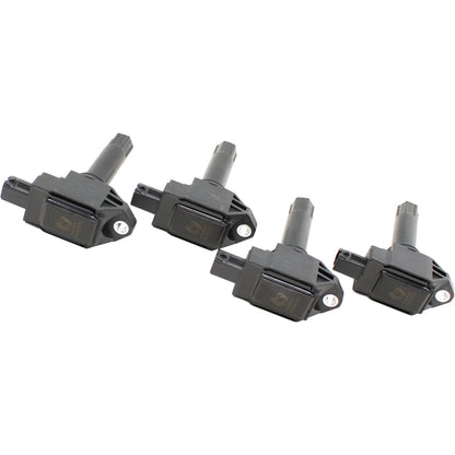 Kit-1561 Ignition Kit - Coils, Spark Plugs