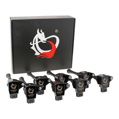 Kit-1596 Coil Pack Set, 8pcs, Direct Fit, BLACK