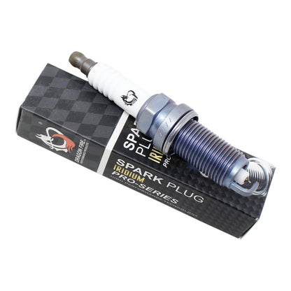 Spark Plug Set, 6pcs, Pre-Gapped