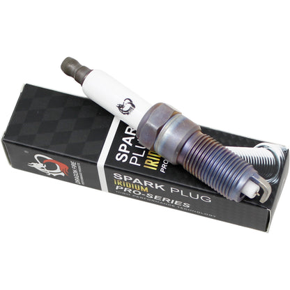 Spark Plug Set, 8pcs, Pre-Gapped