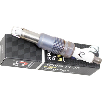 Spark Plug Set, 8pcs, Pre-Gapped