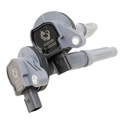 Ignition Kit - Coils, Spark Plugs