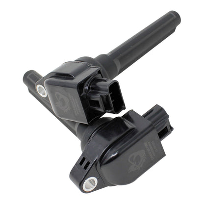 DFC1046-4 Coil Pack Set, 4pcs, Direct Fit, BLACK