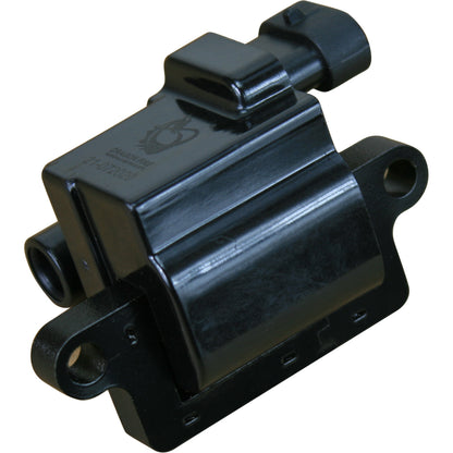 Ignition Kit - Plug Wires, Coils, Spark Plugs